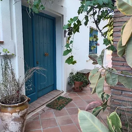 Amapolas Willa Fuengirola
